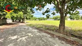 Land for sale in San Isidro, Pampanga