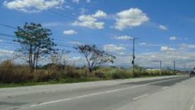 Land for sale in Palimbo Proper, Tarlac