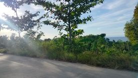 Land for sale in Tan-Awan, Bohol