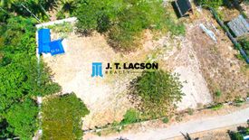 Land for sale in Poblacion, Negros Oriental