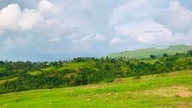 Land for sale in Kalubihan, Cebu