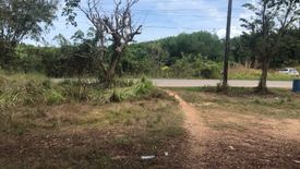 Land for Sale or Rent in Khlong Khian, Phang Nga