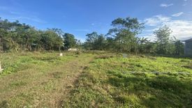 Land for sale in Pamuringao Proper, Iloilo