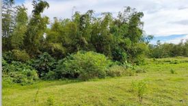 Land for sale in Talisay, Cebu