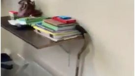 Condo for sale in Suntrust Solana, Ermita, Metro Manila near LRT-1 Central Terminal