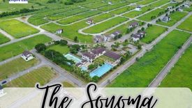 Land for sale in Don Jose, Laguna