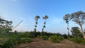 Land for sale in Lo Yung, Phang Nga