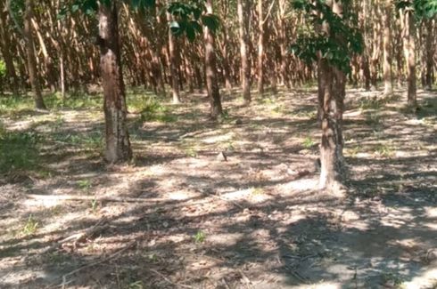 Land for sale in Wisit, Bueng Kan