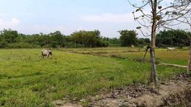 Land for sale in Nam Phrae, Chiang Mai