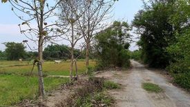 Land for sale in Nam Phrae, Chiang Mai