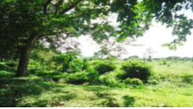 Land for sale in Sampaloc I, Cavite