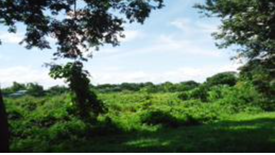 Land for sale in Sampaloc I, Cavite