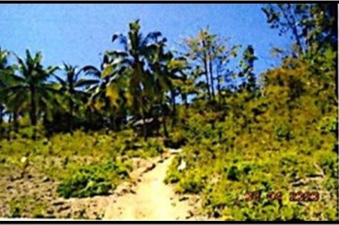 Land for sale in Pulot Interior, Palawan
