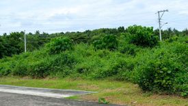 Land for sale in Laiya-Aplaya, Batangas