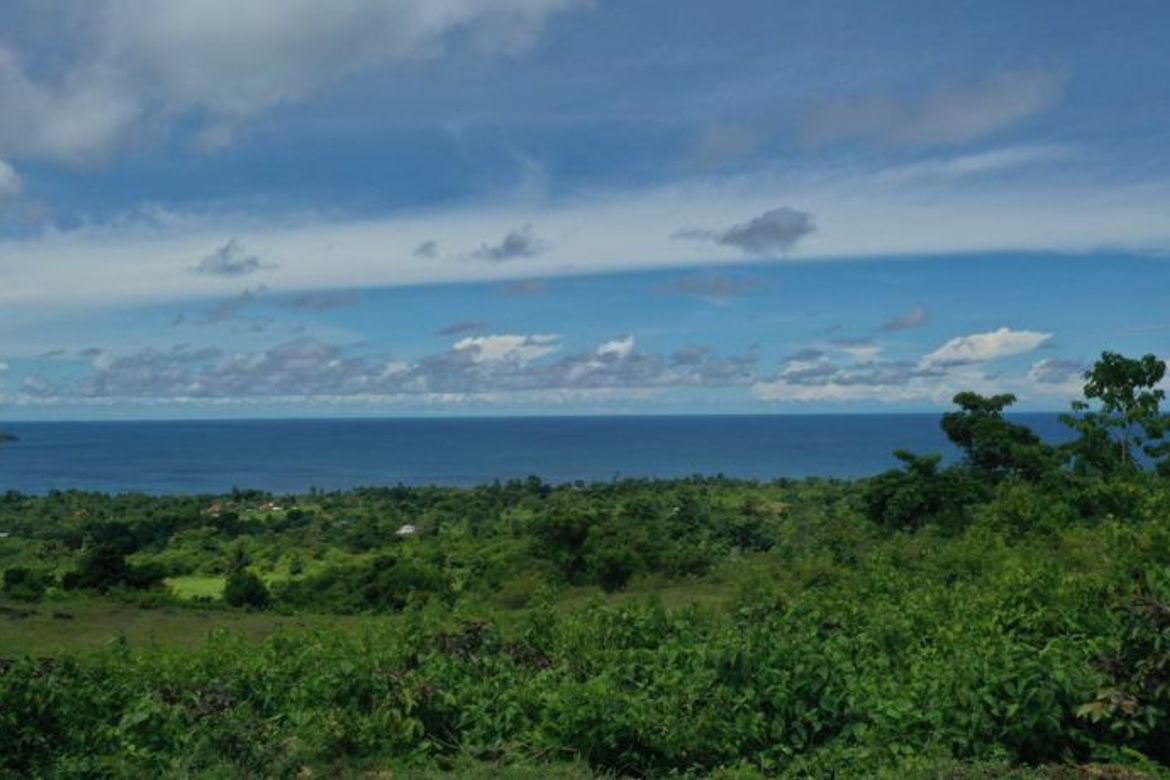 OCEAN VIEW LOTS FOR SALE IN LAZI, SIQUIJOR SIQ0095 📌 Land for sale in