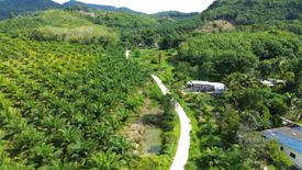 Land for sale in Bang Muang, Phang Nga