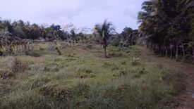 Land for sale in Libjo, Cebu