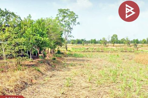 Land for sale in O Lo, Chaiyaphum