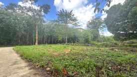 Land for sale in Nong Thale, Krabi