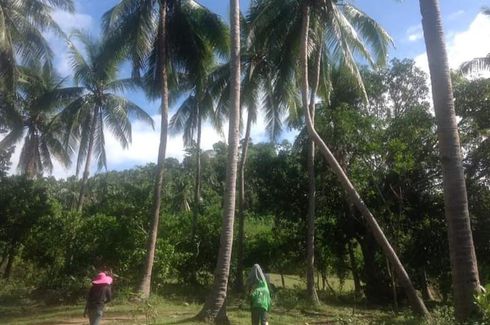 Land for sale in Bamban, Bataan