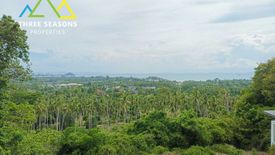 Land for sale in Bo Phut, Surat Thani