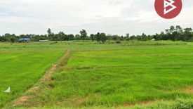 Land for sale in Khok Klang, Buriram