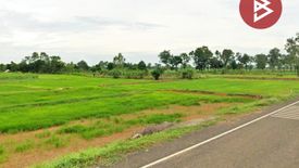 Land for sale in Khok Klang, Buriram