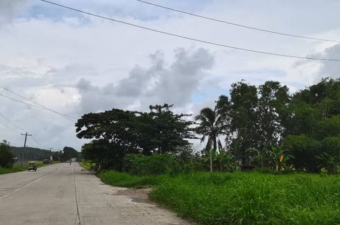 Land for sale in Tabunan, Negros Occidental