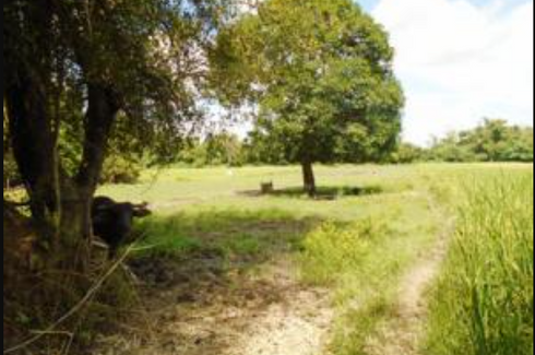 Land for sale in Santiago, Tarlac