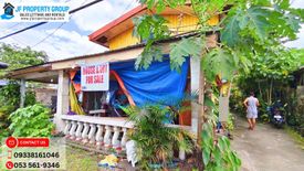 3 Bedroom House for sale in Poblacion, Leyte