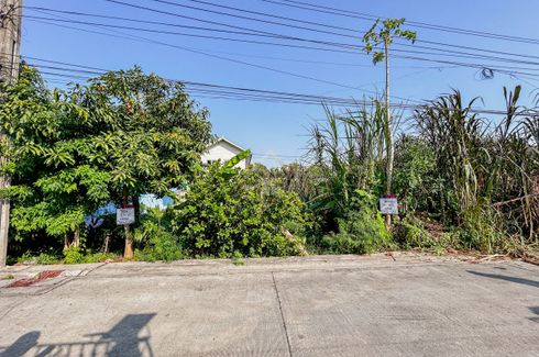 Land for sale in Bang Phai, Bangkok