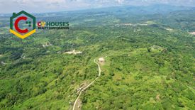 Land for sale in Anupul, Tarlac