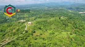 Land for sale in Anupul, Tarlac