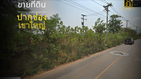 Land for sale in Mu Si, Nakhon Ratchasima