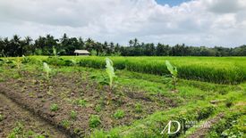 Tanah dijual dengan  di Abian Tuwung, Bali
