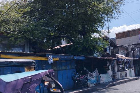 Land for sale in Pinagbuhatan Pasig, Bagong Ilog, Metro Manila