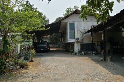 Land for sale in Chang Khlan, Chiang Mai