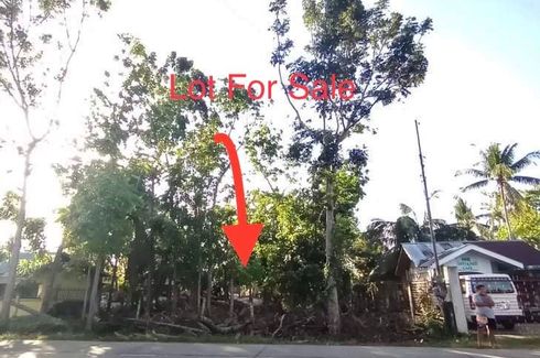 Land for sale in Tinago, Bohol