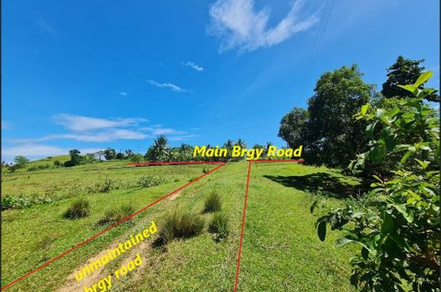 Land for sale in Abaca, Bohol