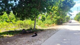 Land for sale in Bolod, Bohol