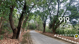 Land for sale in Town and Country Estates, Mambugan, Rizal