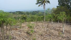 Land for sale in Barangay II, Negros Occidental
