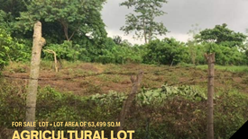 Land for sale in Lusacan, Quezon