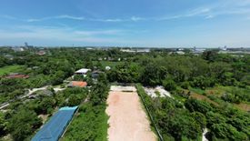 Land for sale in Thap Ma, Rayong