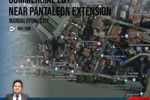 Land for sale in Plainview, Metro Manila near MRT-3 Boni