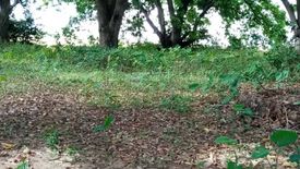 Land for rent in Catulinan, Bulacan