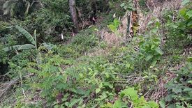 Land for sale in Busay, Cebu