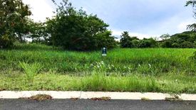 Land for sale in Santo Domingo, Laguna