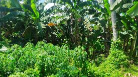 Land for sale in Magay, Cebu