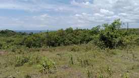 Land for sale in Tabunok, Cebu